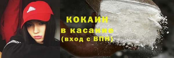 гидра Абаза