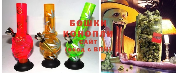 гидра Абаза