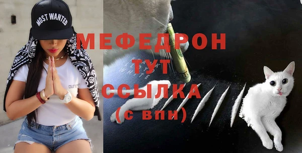 гидра Абаза