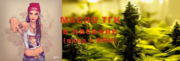 гидра Абаза