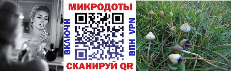 Псилоцибиновые грибы Magic Shrooms  наркотики  Новочеркасск 